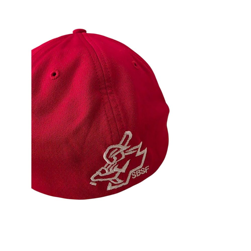 Offizielles Schweizer Baseball Team Cap - Richardson