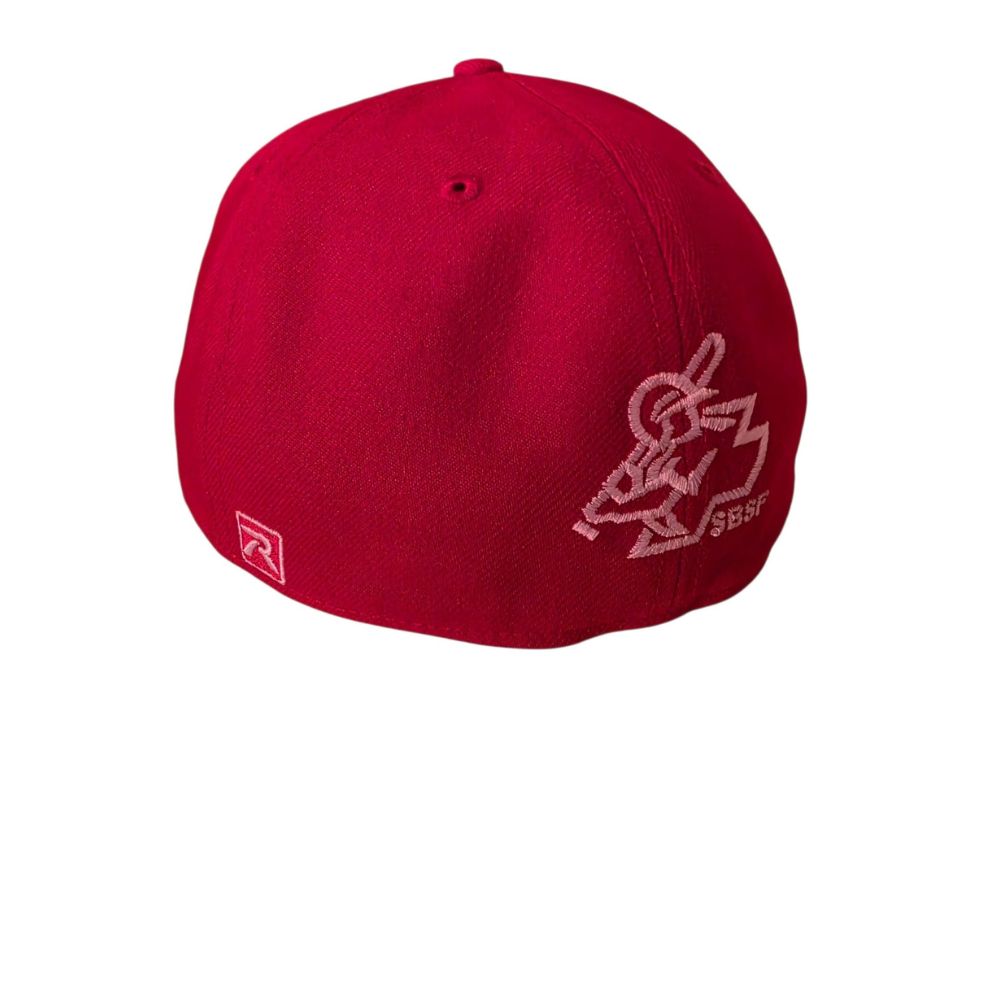 Offizielles Schweizer Baseball Team Cap - Richardson