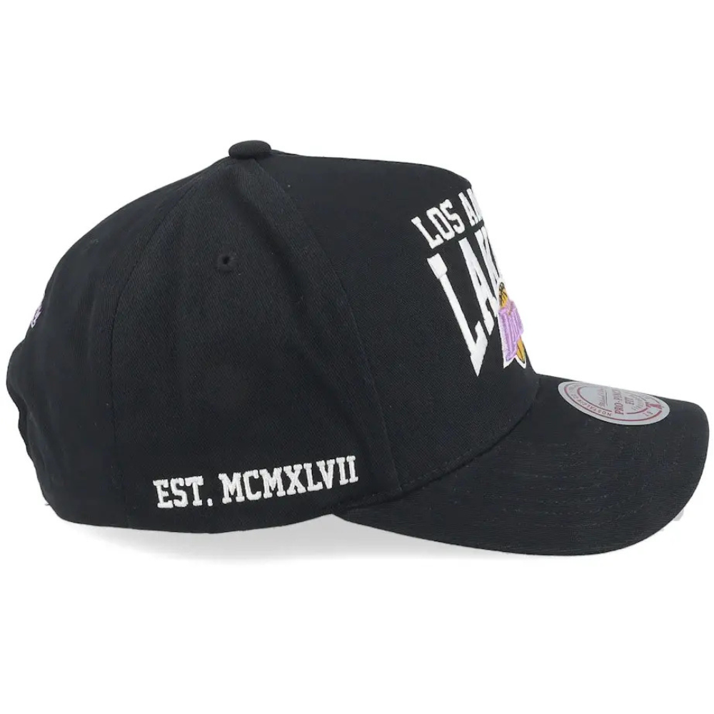 Casquette snapback Los Angeles Lakers Vintage Big Time Pro Mitchell & Ness