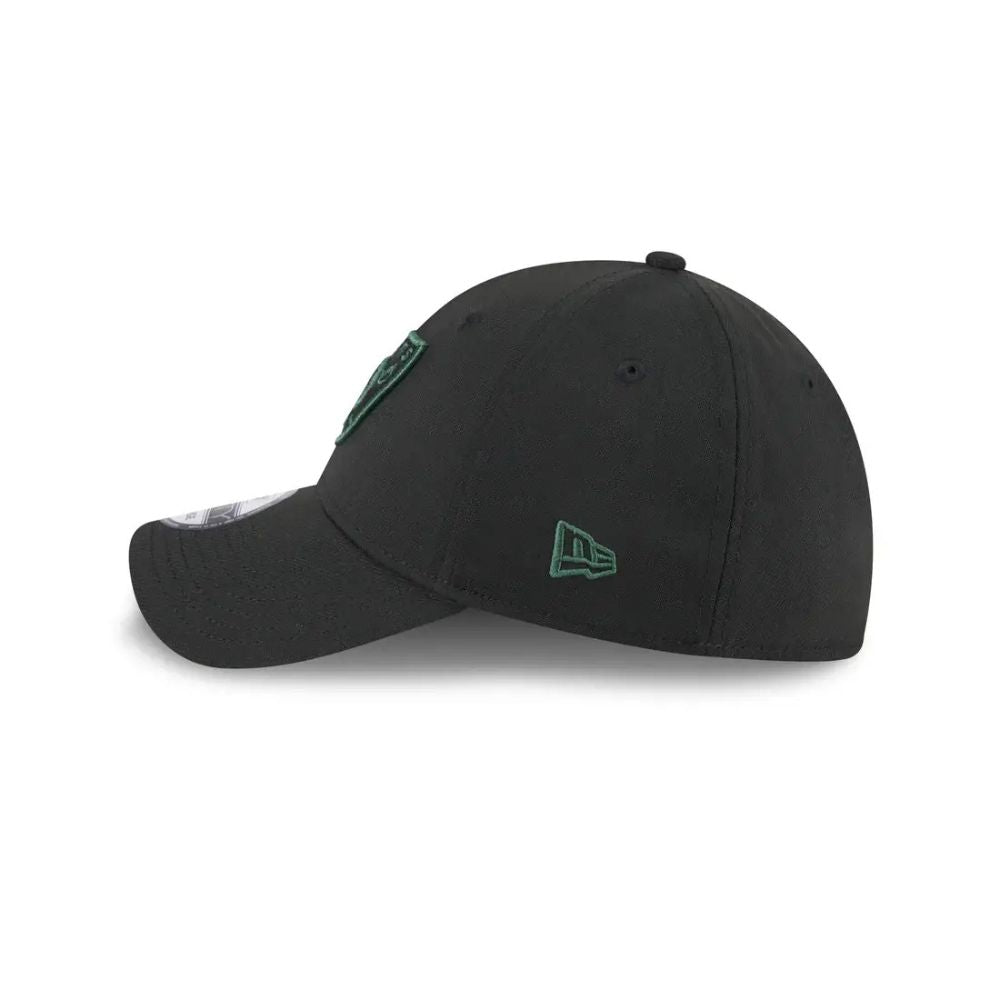 Casquette Las Vegas Raiders 39THIRTY Cilantro - New Era
